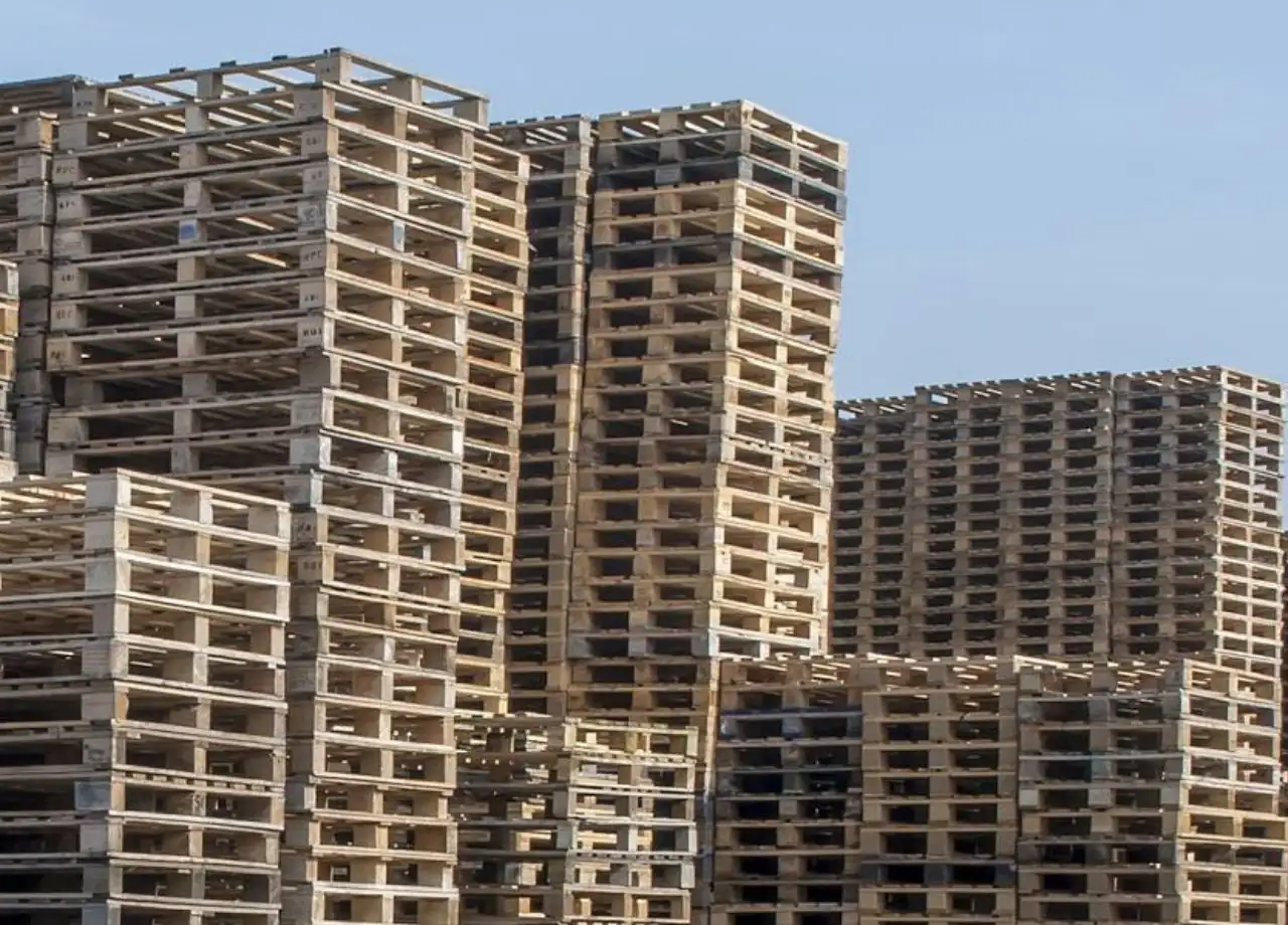 Spruijt-pallethandel-img (3)